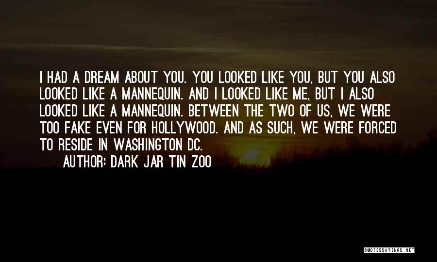 Dark Jar Tin Zoo Quotes: I Had A Dream About You. You Looked Like You, But You Also Looked Like A Mannequin. And I Looked