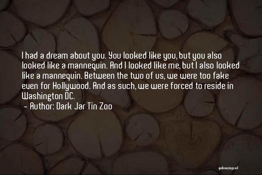 Dark Jar Tin Zoo Quotes: I Had A Dream About You. You Looked Like You, But You Also Looked Like A Mannequin. And I Looked