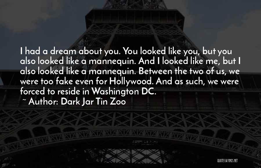 Dark Jar Tin Zoo Quotes: I Had A Dream About You. You Looked Like You, But You Also Looked Like A Mannequin. And I Looked