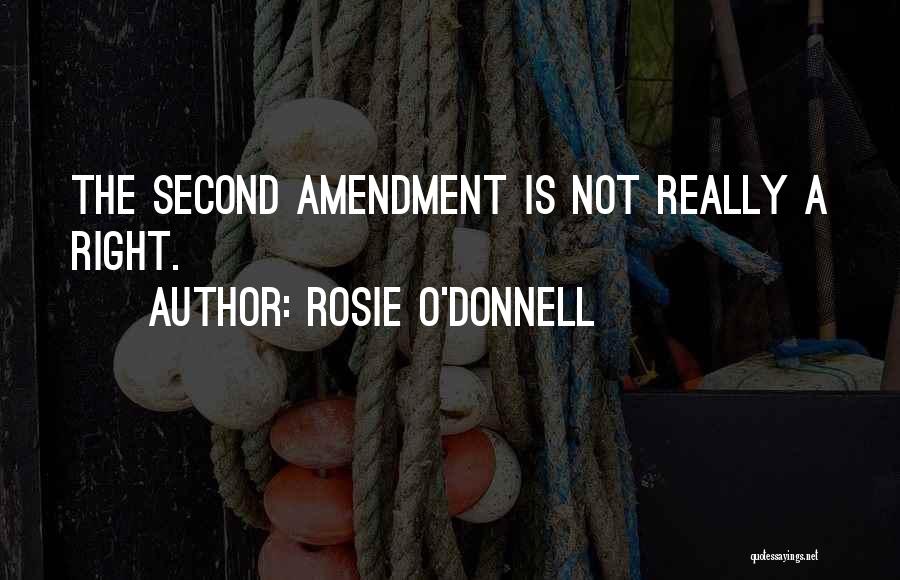 Rosie O'Donnell Quotes: The Second Amendment Is Not Really A Right.