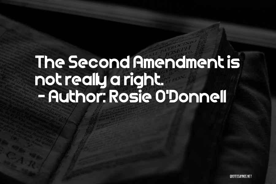 Rosie O'Donnell Quotes: The Second Amendment Is Not Really A Right.