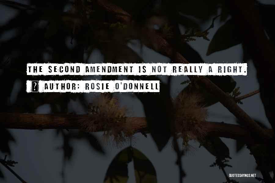 Rosie O'Donnell Quotes: The Second Amendment Is Not Really A Right.