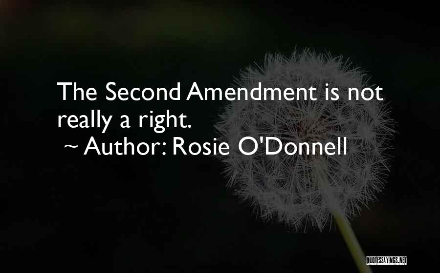 Rosie O'Donnell Quotes: The Second Amendment Is Not Really A Right.
