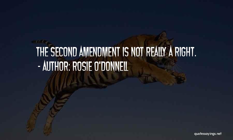 Rosie O'Donnell Quotes: The Second Amendment Is Not Really A Right.