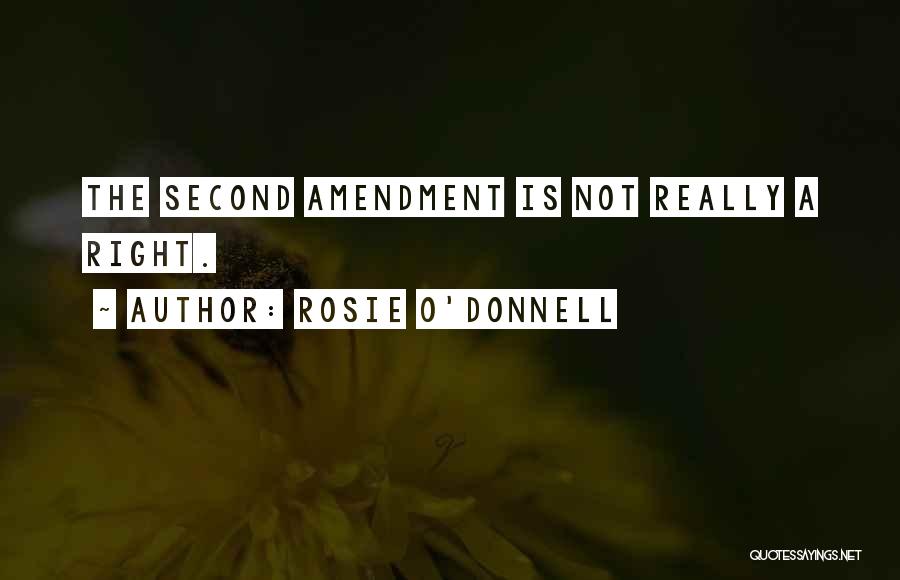 Rosie O'Donnell Quotes: The Second Amendment Is Not Really A Right.