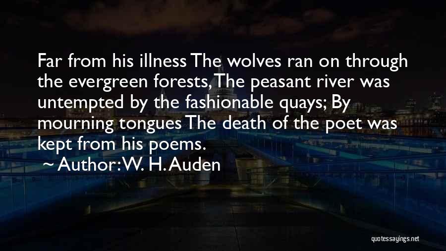 W. H. Auden Quotes: Far From His Illness The Wolves Ran On Through The Evergreen Forests, The Peasant River Was Untempted By The Fashionable