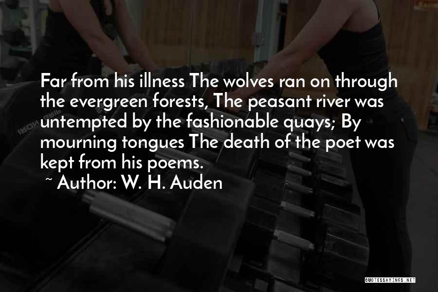 W. H. Auden Quotes: Far From His Illness The Wolves Ran On Through The Evergreen Forests, The Peasant River Was Untempted By The Fashionable