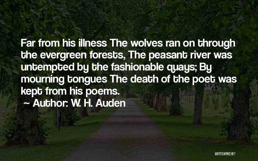 W. H. Auden Quotes: Far From His Illness The Wolves Ran On Through The Evergreen Forests, The Peasant River Was Untempted By The Fashionable