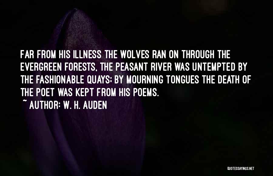 W. H. Auden Quotes: Far From His Illness The Wolves Ran On Through The Evergreen Forests, The Peasant River Was Untempted By The Fashionable