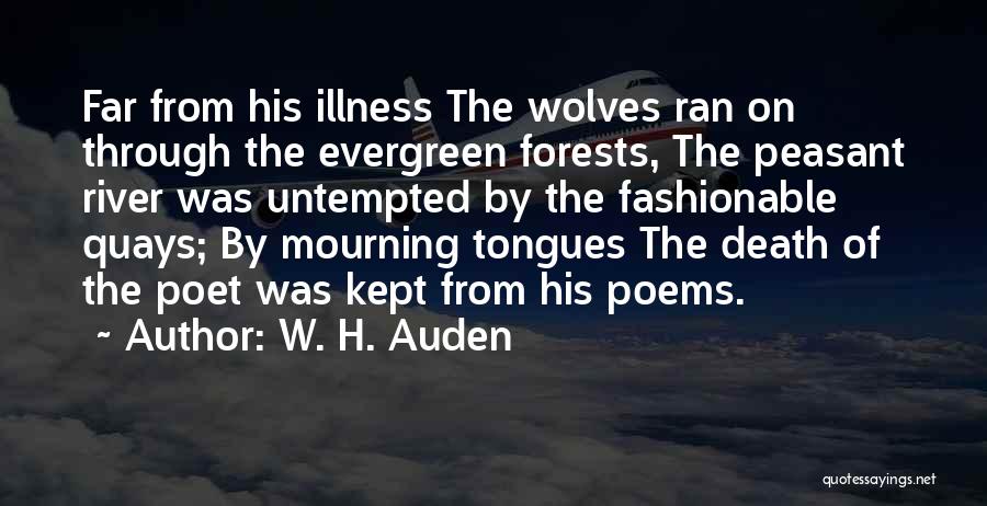 W. H. Auden Quotes: Far From His Illness The Wolves Ran On Through The Evergreen Forests, The Peasant River Was Untempted By The Fashionable