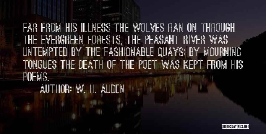 W. H. Auden Quotes: Far From His Illness The Wolves Ran On Through The Evergreen Forests, The Peasant River Was Untempted By The Fashionable