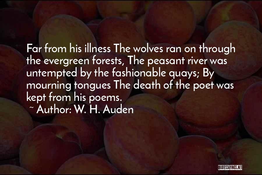 W. H. Auden Quotes: Far From His Illness The Wolves Ran On Through The Evergreen Forests, The Peasant River Was Untempted By The Fashionable