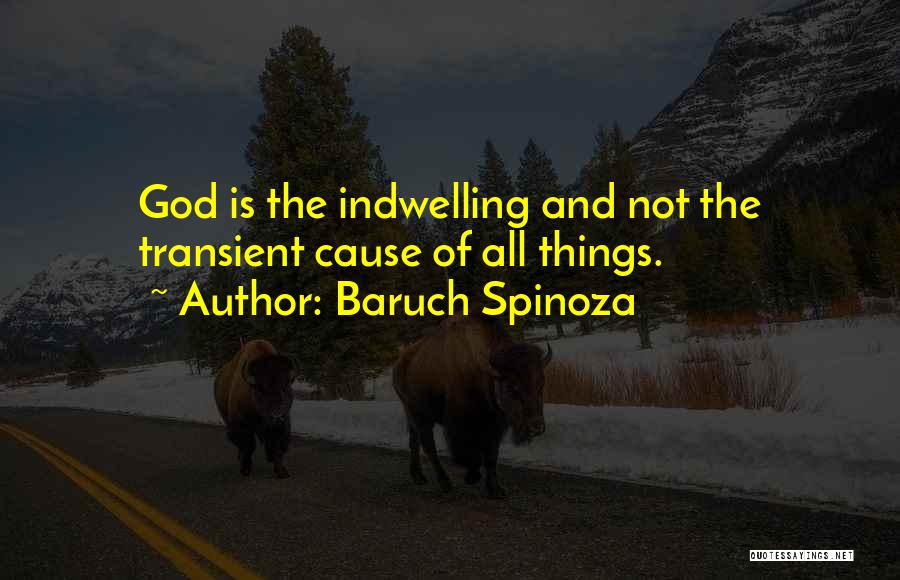 Baruch Spinoza Quotes: God Is The Indwelling And Not The Transient Cause Of All Things.