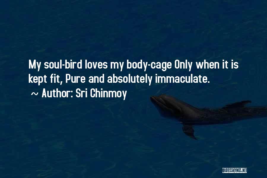 Sri Chinmoy Quotes: My Soul-bird Loves My Body-cage Only When It Is Kept Fit, Pure And Absolutely Immaculate.