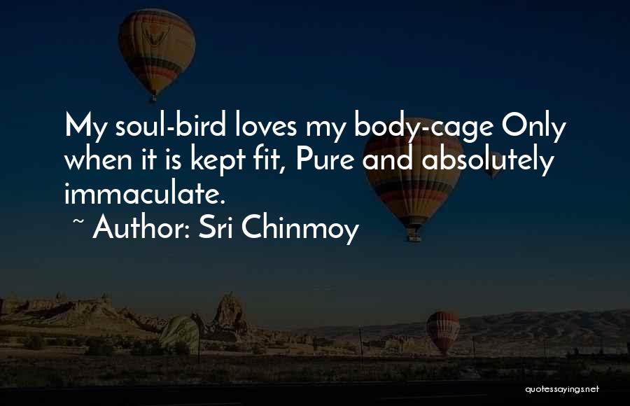 Sri Chinmoy Quotes: My Soul-bird Loves My Body-cage Only When It Is Kept Fit, Pure And Absolutely Immaculate.