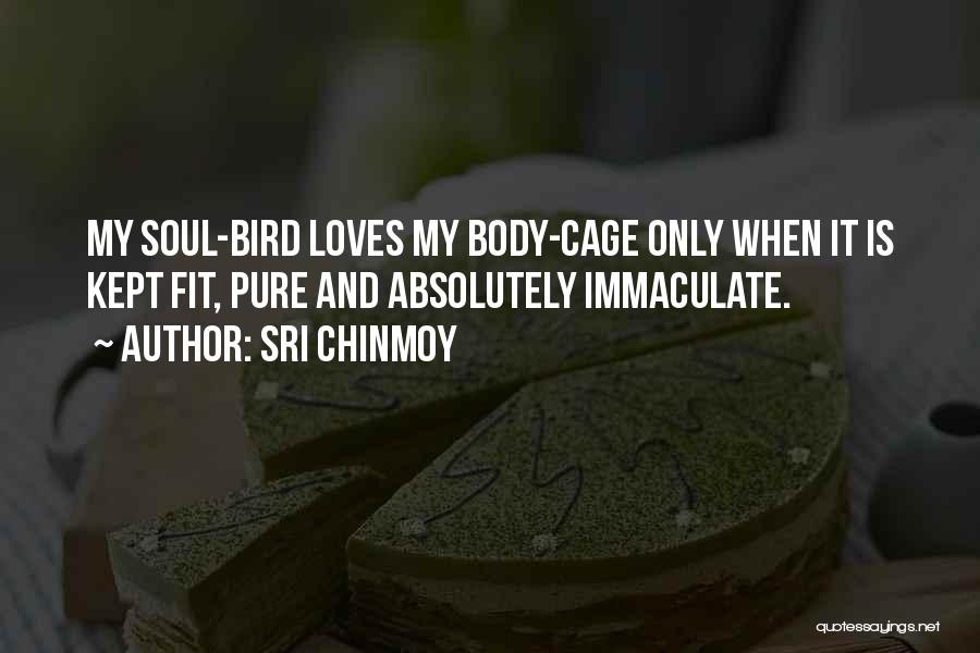 Sri Chinmoy Quotes: My Soul-bird Loves My Body-cage Only When It Is Kept Fit, Pure And Absolutely Immaculate.