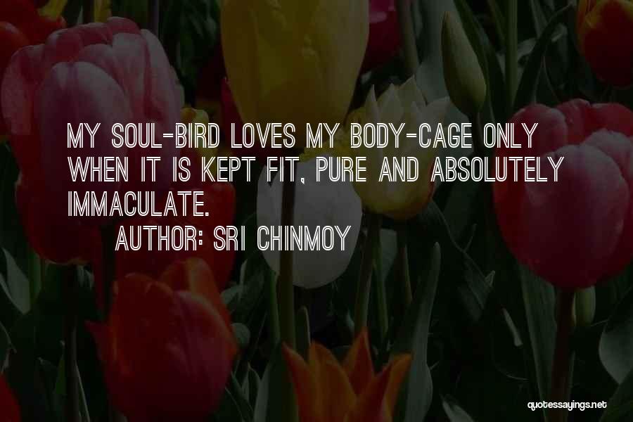 Sri Chinmoy Quotes: My Soul-bird Loves My Body-cage Only When It Is Kept Fit, Pure And Absolutely Immaculate.