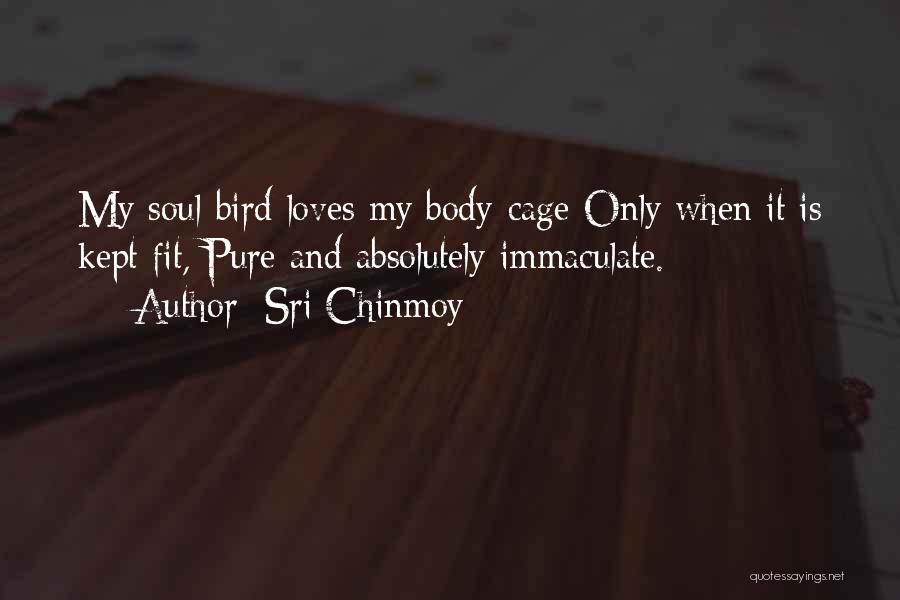 Sri Chinmoy Quotes: My Soul-bird Loves My Body-cage Only When It Is Kept Fit, Pure And Absolutely Immaculate.