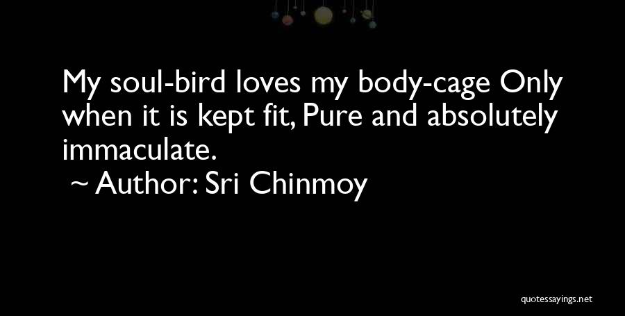 Sri Chinmoy Quotes: My Soul-bird Loves My Body-cage Only When It Is Kept Fit, Pure And Absolutely Immaculate.