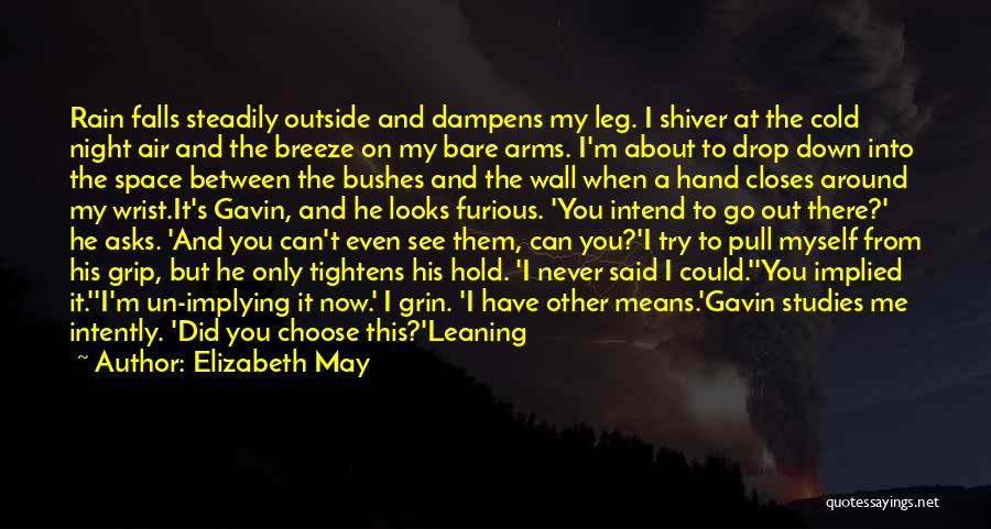 Elizabeth May Quotes: Rain Falls Steadily Outside And Dampens My Leg. I Shiver At The Cold Night Air And The Breeze On My