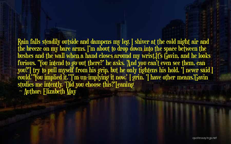 Elizabeth May Quotes: Rain Falls Steadily Outside And Dampens My Leg. I Shiver At The Cold Night Air And The Breeze On My