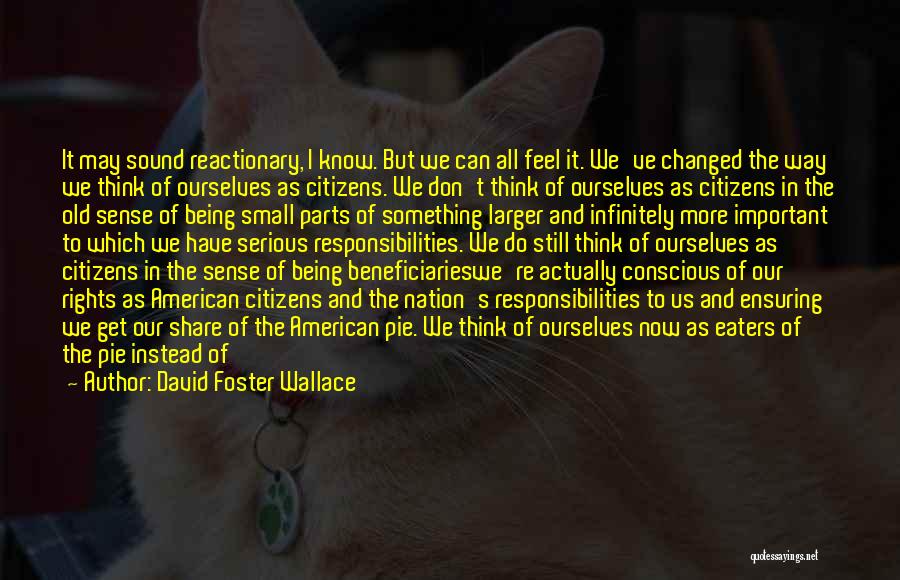 David Foster Wallace Quotes: It May Sound Reactionary, I Know. But We Can All Feel It. We've Changed The Way We Think Of Ourselves