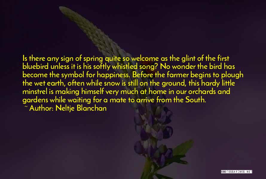 Neltje Blanchan Quotes: Is There Any Sign Of Spring Quite So Welcome As The Glint Of The First Bluebird Unless It Is His