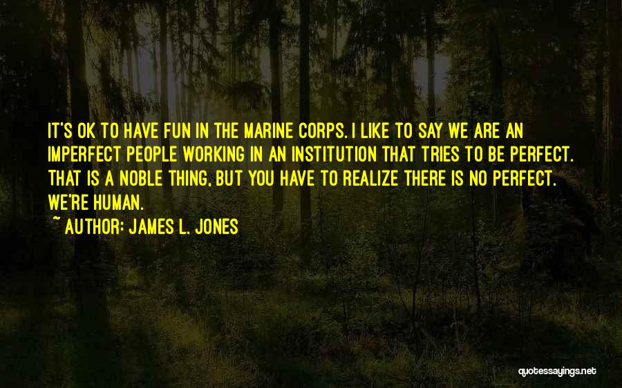 James L. Jones Quotes: It's Ok To Have Fun In The Marine Corps. I Like To Say We Are An Imperfect People Working In