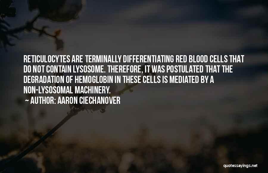 Aaron Ciechanover Quotes: Reticulocytes Are Terminally Differentiating Red Blood Cells That Do Not Contain Lysosome. Therefore, It Was Postulated That The Degradation Of