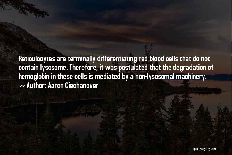 Aaron Ciechanover Quotes: Reticulocytes Are Terminally Differentiating Red Blood Cells That Do Not Contain Lysosome. Therefore, It Was Postulated That The Degradation Of