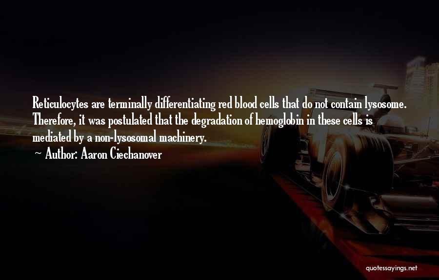 Aaron Ciechanover Quotes: Reticulocytes Are Terminally Differentiating Red Blood Cells That Do Not Contain Lysosome. Therefore, It Was Postulated That The Degradation Of