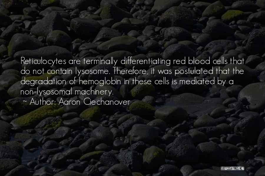 Aaron Ciechanover Quotes: Reticulocytes Are Terminally Differentiating Red Blood Cells That Do Not Contain Lysosome. Therefore, It Was Postulated That The Degradation Of