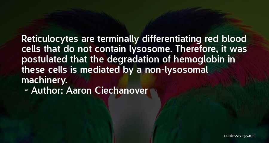 Aaron Ciechanover Quotes: Reticulocytes Are Terminally Differentiating Red Blood Cells That Do Not Contain Lysosome. Therefore, It Was Postulated That The Degradation Of