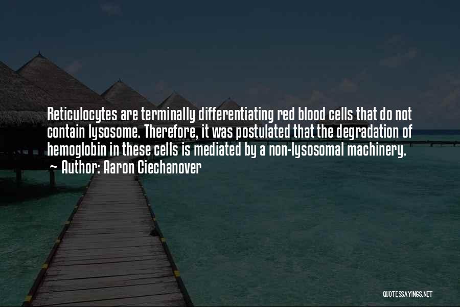 Aaron Ciechanover Quotes: Reticulocytes Are Terminally Differentiating Red Blood Cells That Do Not Contain Lysosome. Therefore, It Was Postulated That The Degradation Of