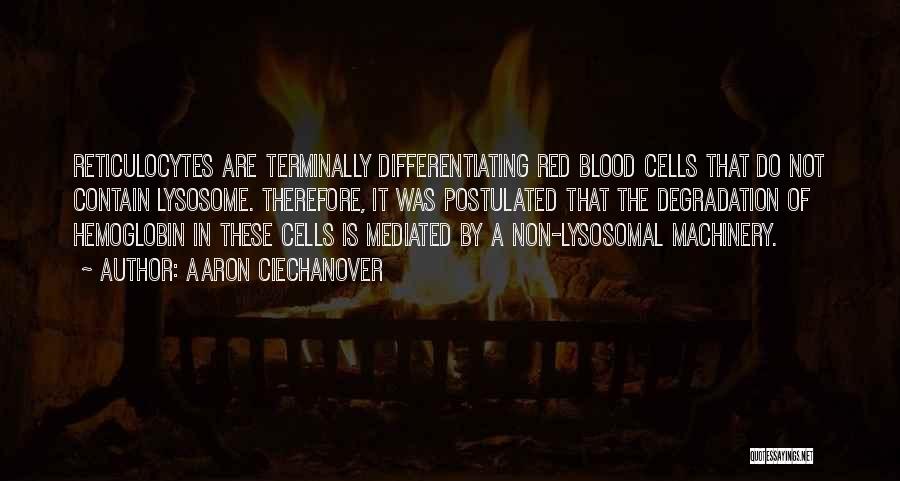 Aaron Ciechanover Quotes: Reticulocytes Are Terminally Differentiating Red Blood Cells That Do Not Contain Lysosome. Therefore, It Was Postulated That The Degradation Of