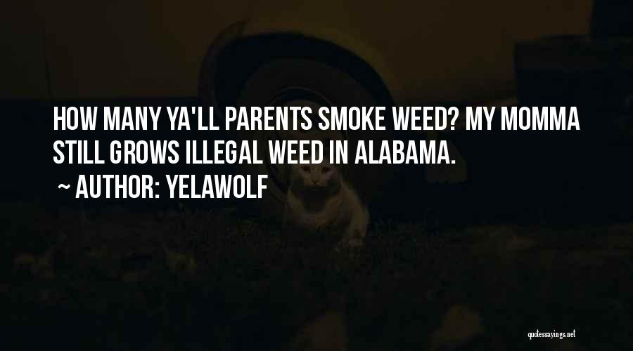 Yelawolf Quotes: How Many Ya'll Parents Smoke Weed? My Momma Still Grows Illegal Weed In Alabama.