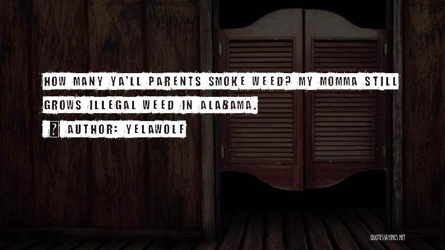 Yelawolf Quotes: How Many Ya'll Parents Smoke Weed? My Momma Still Grows Illegal Weed In Alabama.