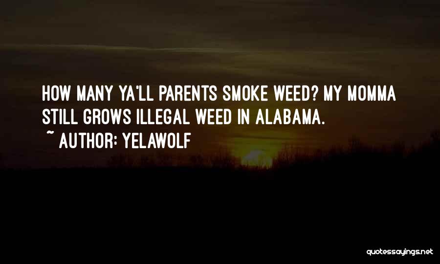 Yelawolf Quotes: How Many Ya'll Parents Smoke Weed? My Momma Still Grows Illegal Weed In Alabama.