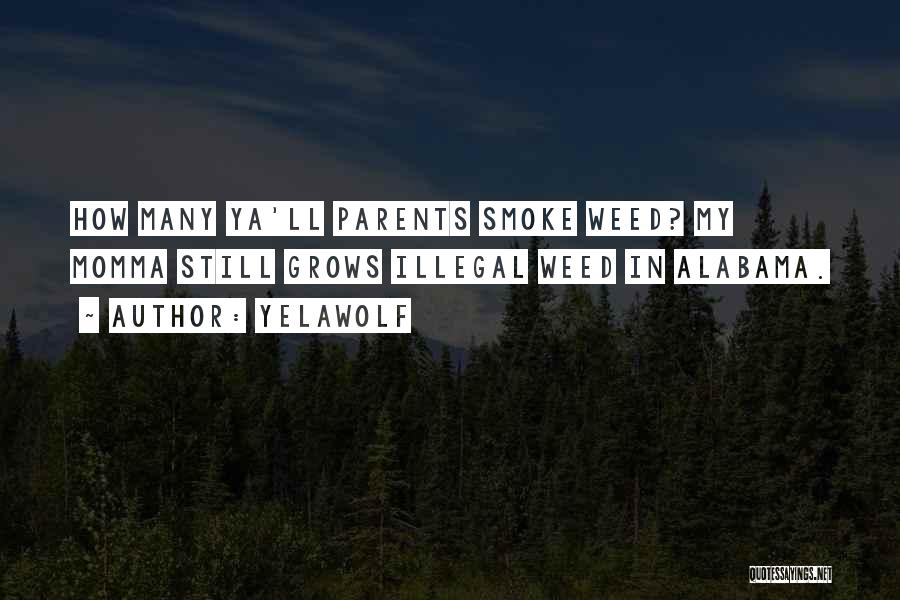 Yelawolf Quotes: How Many Ya'll Parents Smoke Weed? My Momma Still Grows Illegal Weed In Alabama.