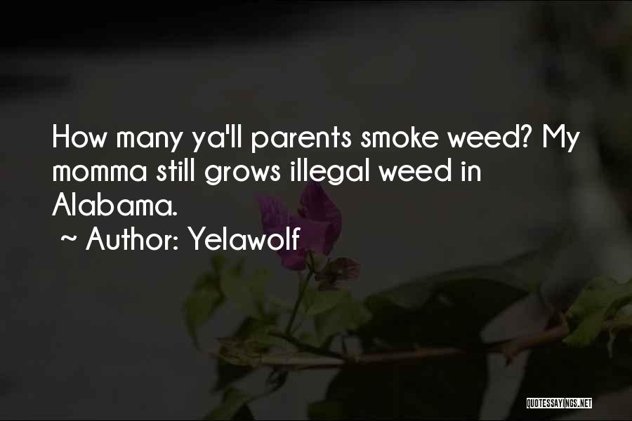 Yelawolf Quotes: How Many Ya'll Parents Smoke Weed? My Momma Still Grows Illegal Weed In Alabama.