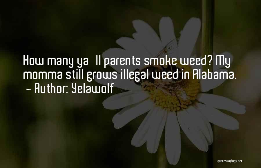 Yelawolf Quotes: How Many Ya'll Parents Smoke Weed? My Momma Still Grows Illegal Weed In Alabama.