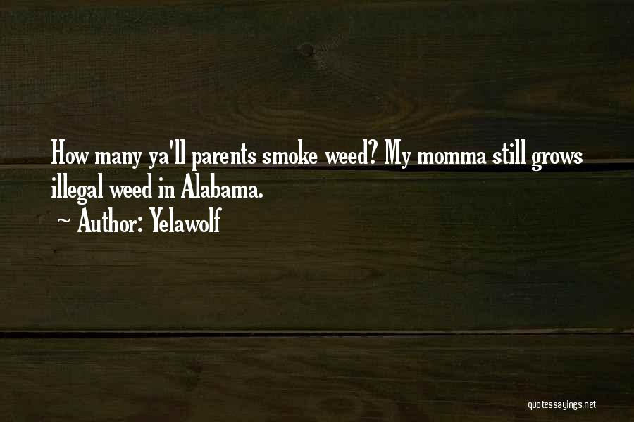 Yelawolf Quotes: How Many Ya'll Parents Smoke Weed? My Momma Still Grows Illegal Weed In Alabama.