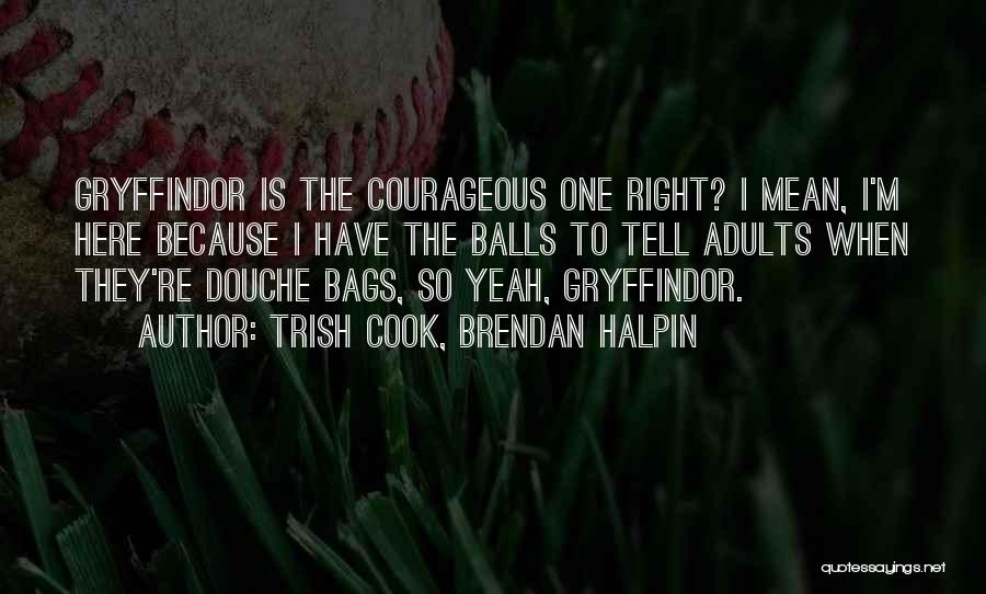 Trish Cook, Brendan Halpin Quotes: Gryffindor Is The Courageous One Right? I Mean, I'm Here Because I Have The Balls To Tell Adults When They're