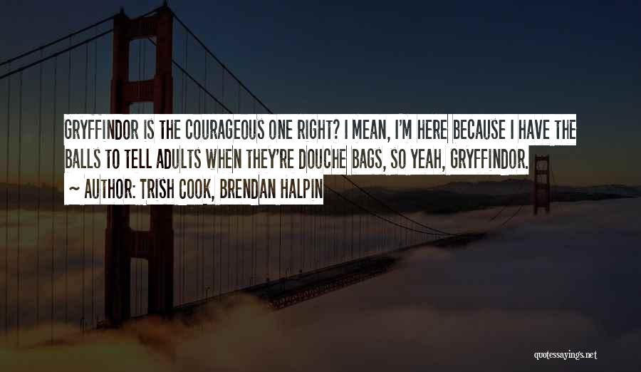 Trish Cook, Brendan Halpin Quotes: Gryffindor Is The Courageous One Right? I Mean, I'm Here Because I Have The Balls To Tell Adults When They're