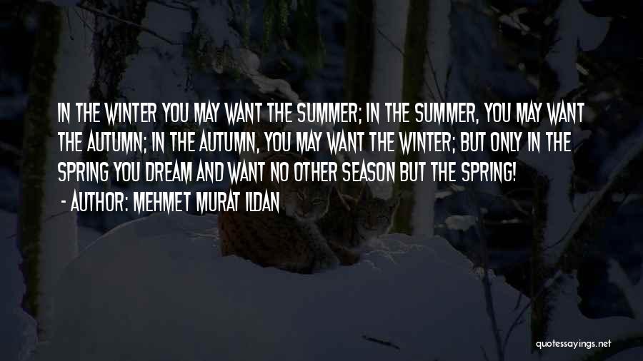 Mehmet Murat Ildan Quotes: In The Winter You May Want The Summer; In The Summer, You May Want The Autumn; In The Autumn, You