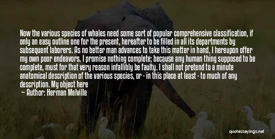 Herman Melville Quotes: Now The Various Species Of Whales Need Some Sort Of Popular Comprehensive Classification, If Only An Easy Outline One For