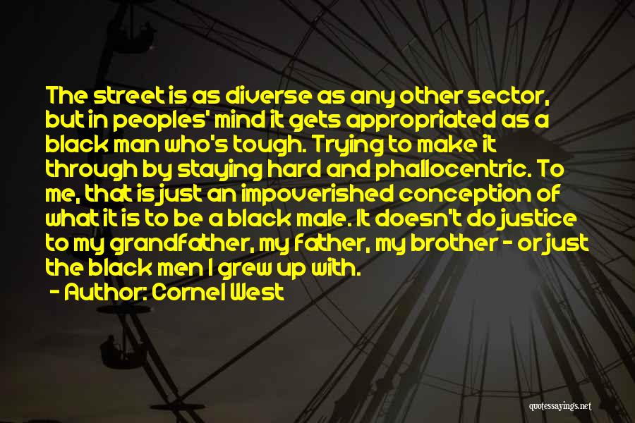 Cornel West Quotes: The Street Is As Diverse As Any Other Sector, But In Peoples' Mind It Gets Appropriated As A Black Man