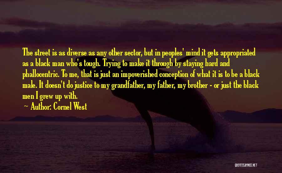 Cornel West Quotes: The Street Is As Diverse As Any Other Sector, But In Peoples' Mind It Gets Appropriated As A Black Man