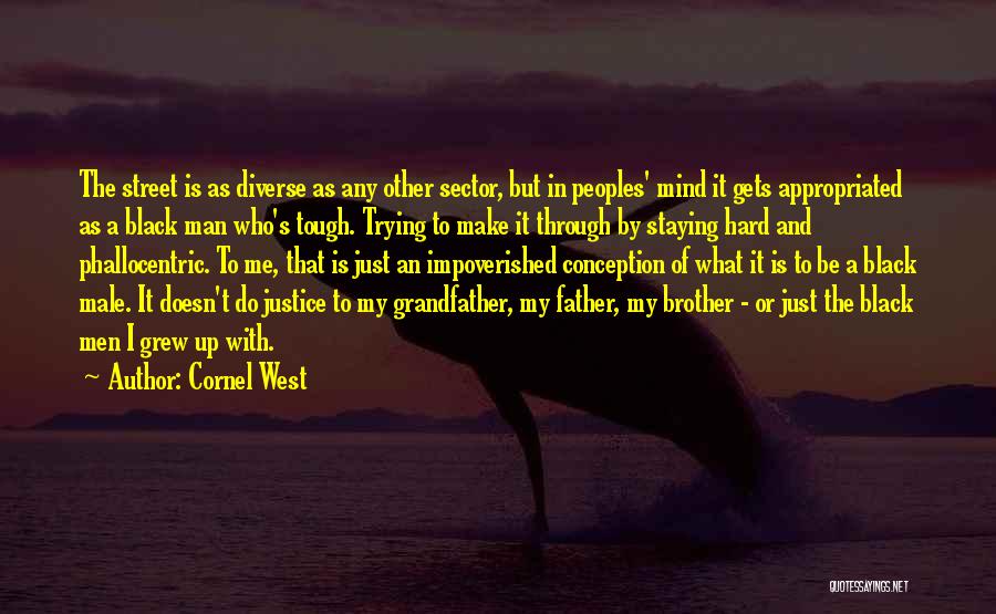 Cornel West Quotes: The Street Is As Diverse As Any Other Sector, But In Peoples' Mind It Gets Appropriated As A Black Man