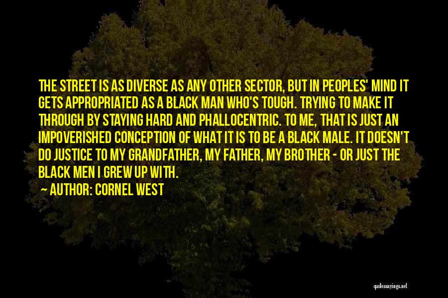 Cornel West Quotes: The Street Is As Diverse As Any Other Sector, But In Peoples' Mind It Gets Appropriated As A Black Man